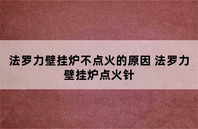 法罗力壁挂炉不点火的原因 法罗力壁挂炉点火针